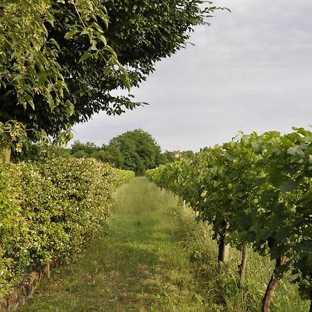 Casa Griunit Villa Capriva del Friuli Eksteriør bilde