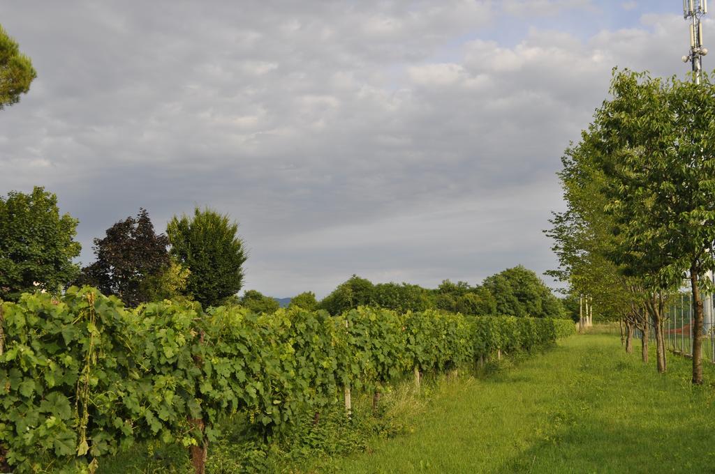 Casa Griunit Villa Capriva del Friuli Eksteriør bilde